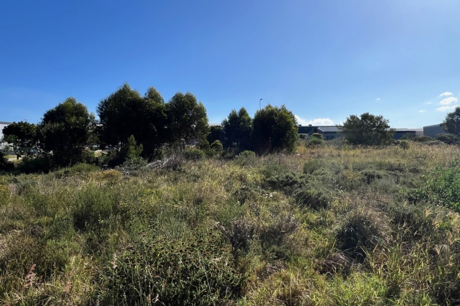 0 Bedroom Property for Sale in Fountains Estate Eastern Cape